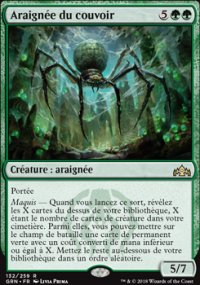 Araignée du couvoir - 