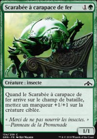 Scarabée à carapace de fer - 
