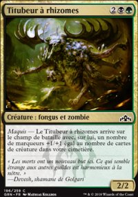 Titubeur à rhizomes - 