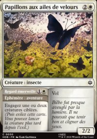 Papillons aux ailes de velours<br>Regard �merveill� - The Hobbit