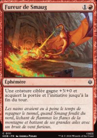 Fureur de Smaug - The Hobbit