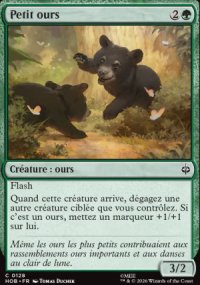 Petit ours - The Hobbit