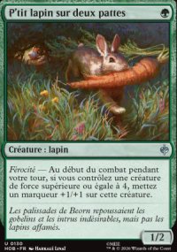 P'tit lapin sur deux pattes - The Hobbit