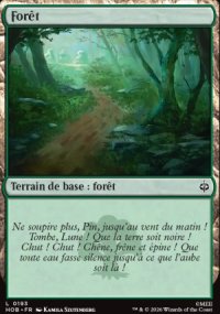 For�t - The Hobbit