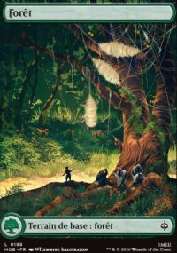 For�t - The Hobbit