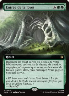 Entr�e de la for�t - The Hobbit