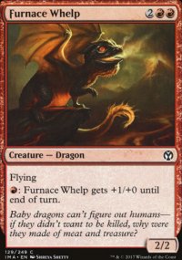 Dragonnet du fourneau - 