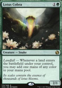 Cobra de lotus - 