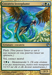 Cocatrix lesteplume - 