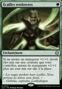 cailles renforces - 