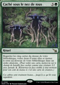 Caché sous le nez de tous - 