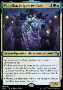 Vannifar, énigme évoluée - 