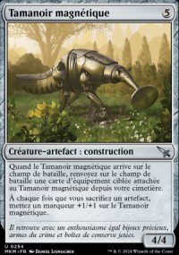 Tamanoir magnétique - 