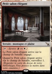 Petit salon élégant - 