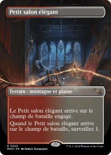 Petit salon élégant - 