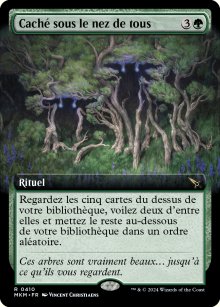 Caché sous le nez de tous - 