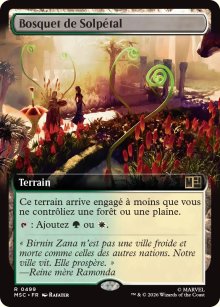 Bosquet de Solp�tal - Marvel Super Heroes Commander Decks