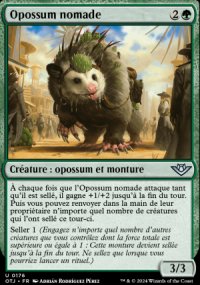 Opossum nomade - 