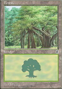 Forêt - Portal Three Kingdoms