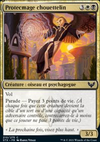 Protecmage chouettelin - 