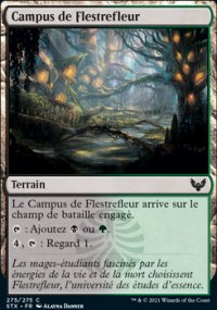 Campus de Flestrefleur - 