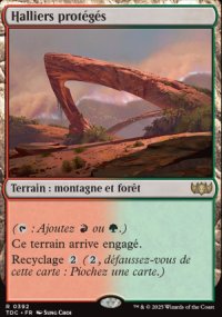 Halliers protgs - Tarkir: Dragonstorm Commander Decks