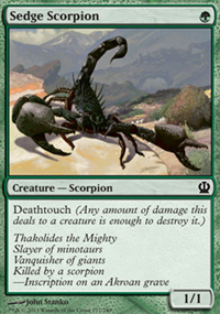 Sedge Scorpion - 