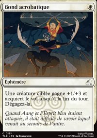 Bond acrobatique - Avatar: The Last Airbender Eternal-Legal