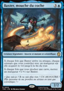 Baxter, mouche du coche - Teenage Mutant Ninja Turtles Eternal Legal