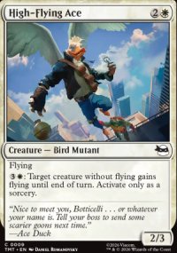 High-Flying Ace - Teenage Mutant Ninja Turtles