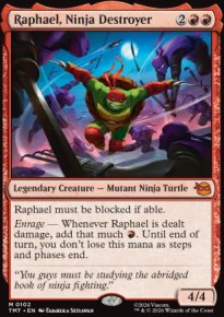 Raphael, Ninja Destroyer - Teenage Mutant Ninja Turtles