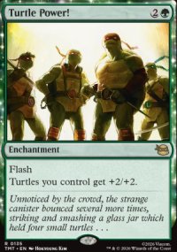 Turtle Power! - Teenage Mutant Ninja Turtles