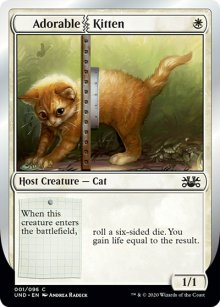 Adorable Kitten - 