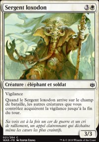Sergent loxodon - 