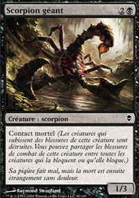 Scorpion géant - 