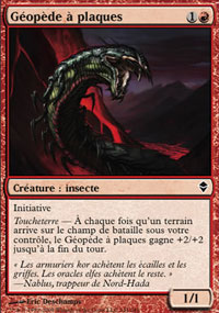 Géopède à plaques - 