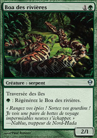 Boa des rivières - 