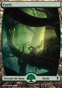 Forêt - 