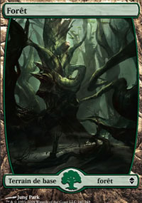 Forêt - 