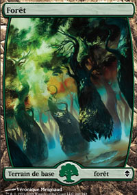 Forêt - 