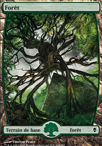Forêt - 