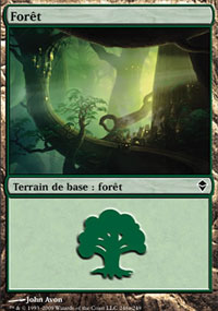 Forêt - 
