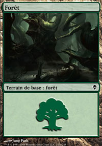Forêt - 
