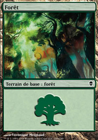 Forêt - 