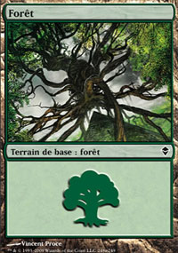 Forêt - 